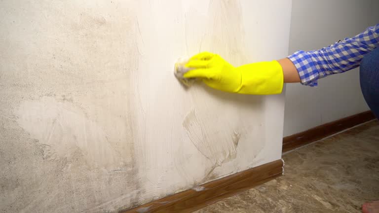  Kingston, OK Mold Removal Pros