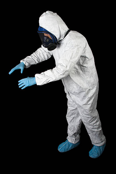Trusted Kingston, OK Mold Removal Experts